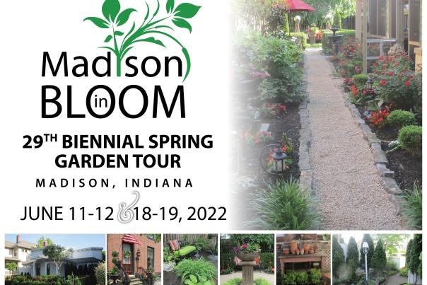 Madison in Bloom